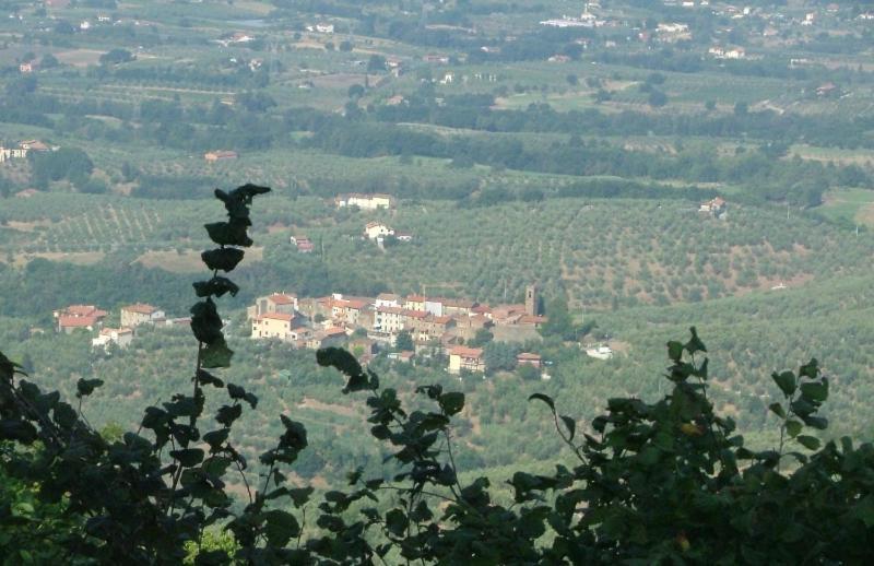 Podere Calistri Larciano Екстериор снимка