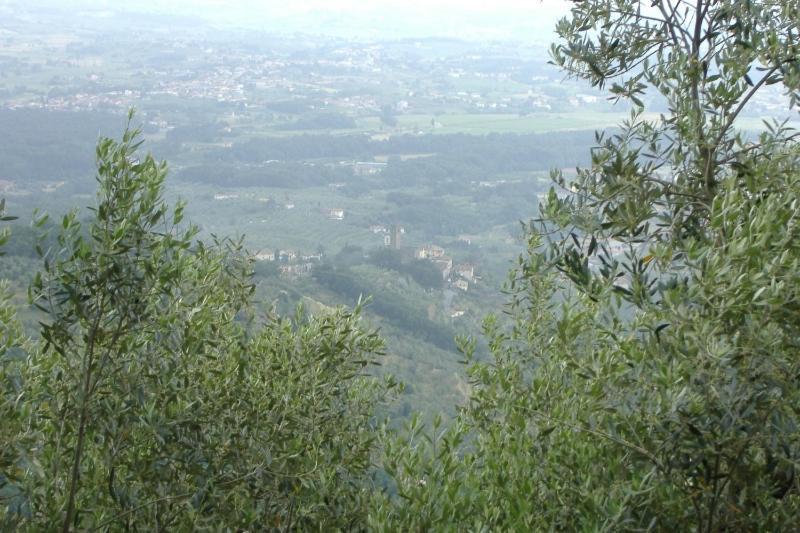 Podere Calistri Larciano Екстериор снимка